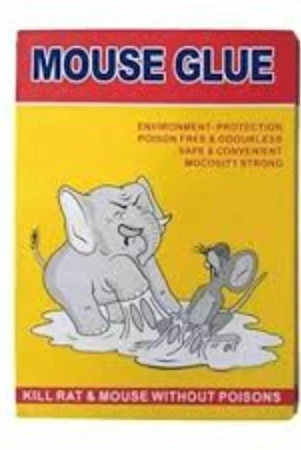 mouse-glue-poisons-6-gm