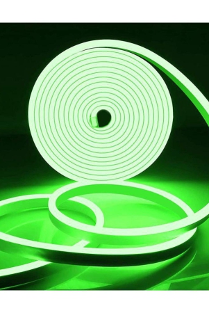 daybetter-green-4m-neon-light-pack-of-1-green