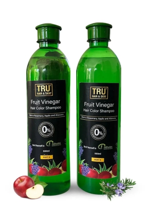 Fruit Vinegar Hair Color Shampoo  Natural Hair Color Dye for Black Hair-1000ml