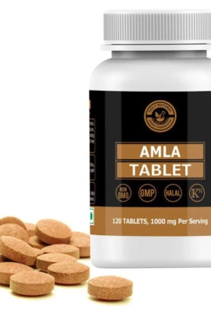 holy-natural-amla-tablet-120-nos-vitamins-tablets