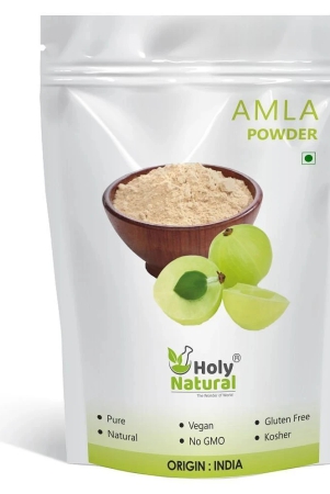 holy-natural-amla-powder-500-gm-vitamins-powder