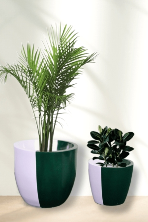 Euroxo Pink Green Fiber Planter Set | FRP Planter for indoor & outdoor