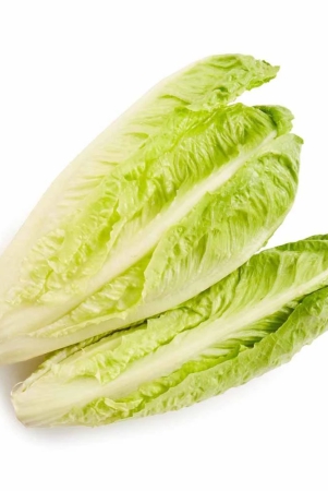 salad-veggies-lettuce-romain-1-kg