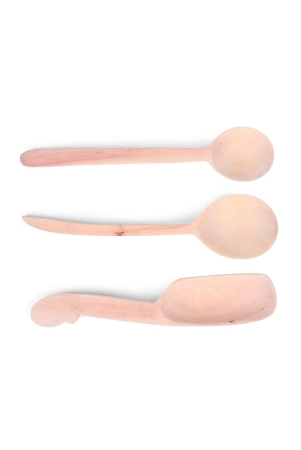 curry-spoons-set