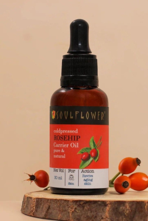 cold-pressed-rosehip-oil-for-face