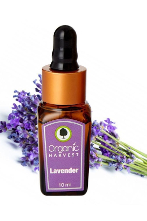 organic-harvest-lavender-essential-oil-cures-dry-acne-hair-growth-face-hair-care-pure-undiluted-therapeutic-grade-oil-excellent-for-aromatherapy-10ml