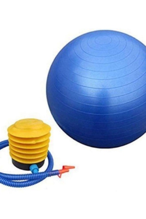 ramdev-enterprise-gym-ball-pack-of-1-onesize