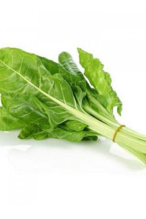 green-swiss-chard-100-gms