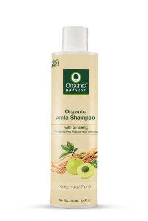 Everyday Organic Amla Shampoo for