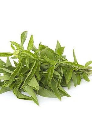 italian-basil-stomata-farms-50-gms