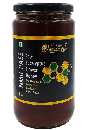 farm-naturelle-raw-100-natural-nmr-tested-pass-certified-un-processed-virgin-eucalyptus-forest-honey-ayurved-recommended-1-kg-glass-bottle