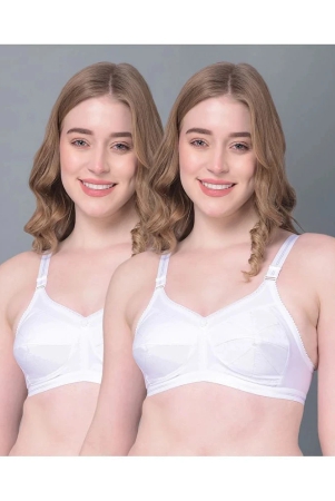 dollar-missy-pack-of-2-cotton-womens-everyday-bra-white-des-1052-wht-po2-none