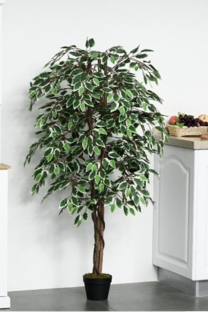 artificial-gorgeous-ficus-benjamina-variegated-plant-6ft-height