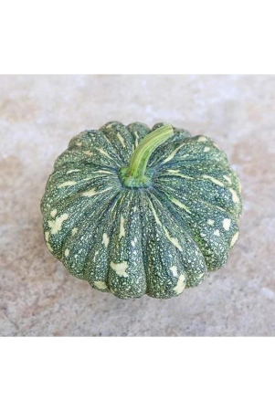 allthatgrows-pumpkin-kaddu-vegetable-winter-squash-seeds-pack-of-20