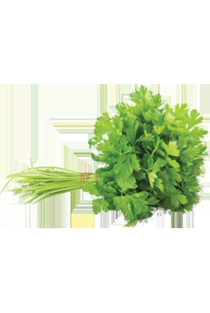 exotic-flat-parsley-50-gms