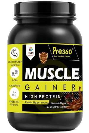 pro360-muscle-gainer-protein-powder-supplement-1-kg-