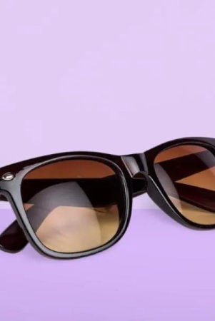 unisex-free-size-wayfair-sunglasses-free-size