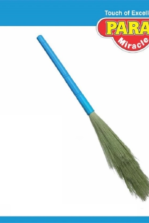 paras-broom