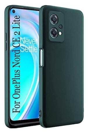 winble-oneplus-nord-ce-2-lite-5g-back-cover-case-liquid-silicone-green