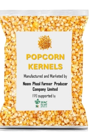 maize-popping-kernels