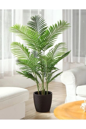 homeagro-areca-palm-plant-5-seeds-