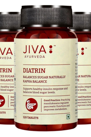 jiva-diatrin-tablets-120-tablets-each-pack-of-3-controls-sugar-naturally-strengthens-the-pancreas-improves-metabolism-effective-in-treating-urinary-disorders