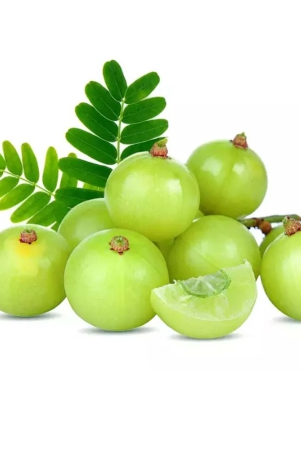 namdhari-amla-pb-250-gm