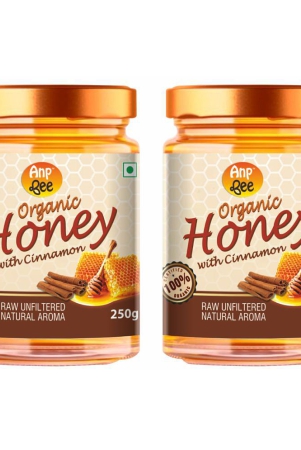 anp-bee-honey-organic-cinnmonhoney-250-g-pack-of-2