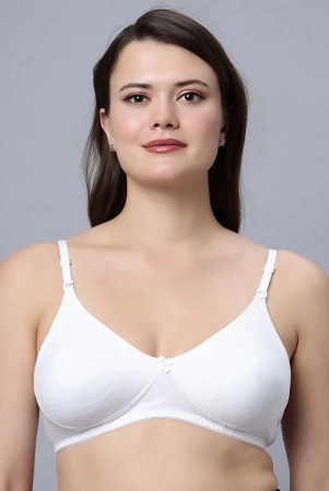 IN CARE LINGERIE Cotton Lightly Padded Womens T-Shirt Bra ( White ) NAVYA_WHITE_44B - None