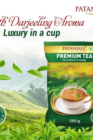 premium-tea-250-gm-poly-t