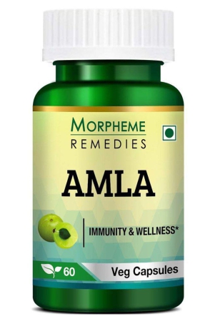 morpheme-remedies-amla-500-mg-60-veg-capsules