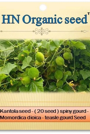 homeagro-vegetable-seeds-kantola-spiny-gourd-20-seed-