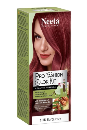 neeta-professional-pro-fashion-color-kit-316-burgundy-100g-pack-of-2-permanent-hair-color-creme-hair-colour-for-women-men