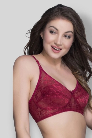 clovia-pack-of-1-lace-non-padded-womens-everyday-bra-maroon-34d