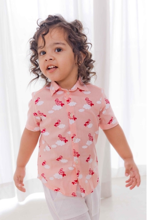 sky-is-pink-boy-shirt-1y