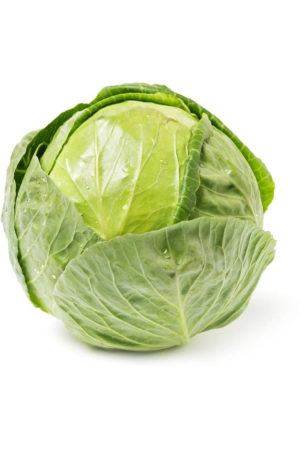 cabbage-250-gms