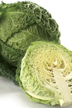 cabbage-heirloom-savoy-exotic-vegetable-seeds