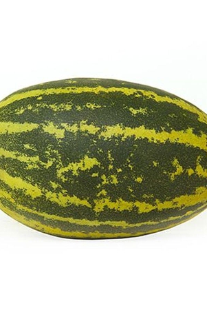 cucumber-mangalore-500-gms