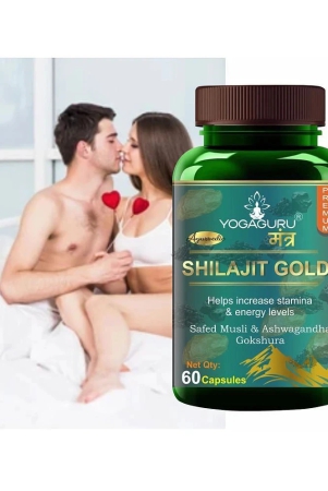 shilajit-gold-capsules-60-cap