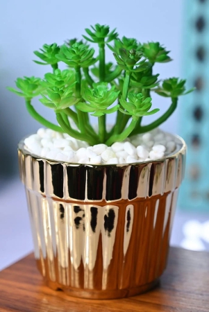 golden-stripes-artificial-plant-with-glossy-ceramic-pot