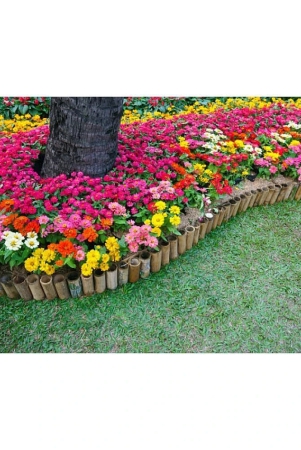 homeagro-zinnia-mixed-flower-20-seeds-