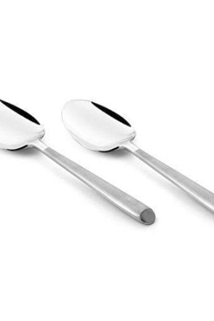 fns-aura-stainless-steel-mirror-finish-serving-spoon-set-of-2