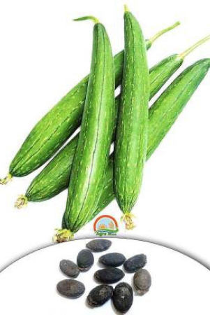 sponge-gaurd-tori-f1-hybrid-vegetable-10-seeds