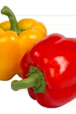 colour-capsicum-250-grams