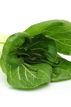 exotic-pak-choi-500-gms