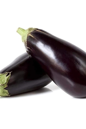 namdhari-brinjal-black-big-1-kg