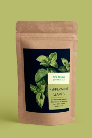 Peppermint Leaves-100 gms Pack