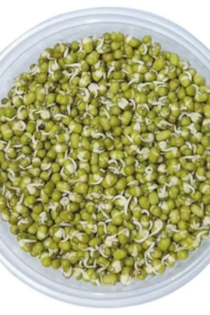 beans-sprout-100-gms