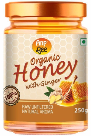 anp-bee-honey-organic-ginger-honey-250-g