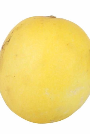 melons-muskmelon-yellow-canary-2-kg